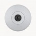AXIS M3067-P